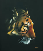 painting of tiger titled Night Stroll, by artist Diarmid Doody