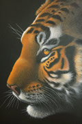 painting of tiger by artist Diarmid Doody
